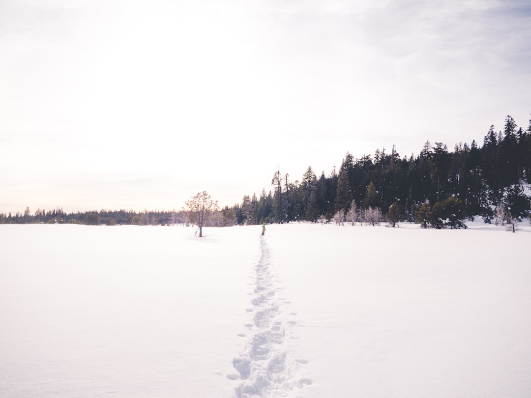 Photo Snowy landscape